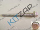 ���� �������� ������ ����������� ������������ (������) 