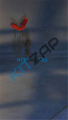 ������ ����� ������ ������ (������)